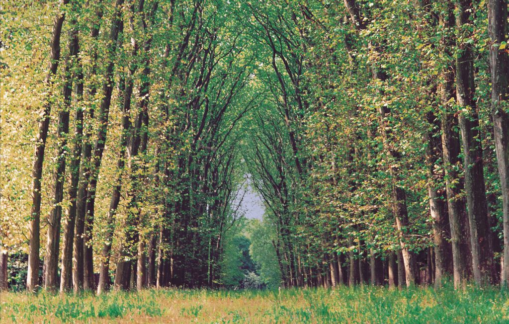 Semesterhus - Mouleydier , Frankrike - FAD774 20