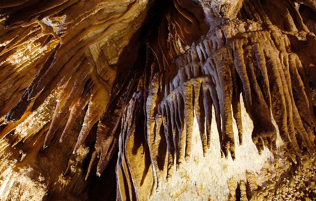 Location de vacances - Saint-Privat-des-Prés , France - FAD494 33