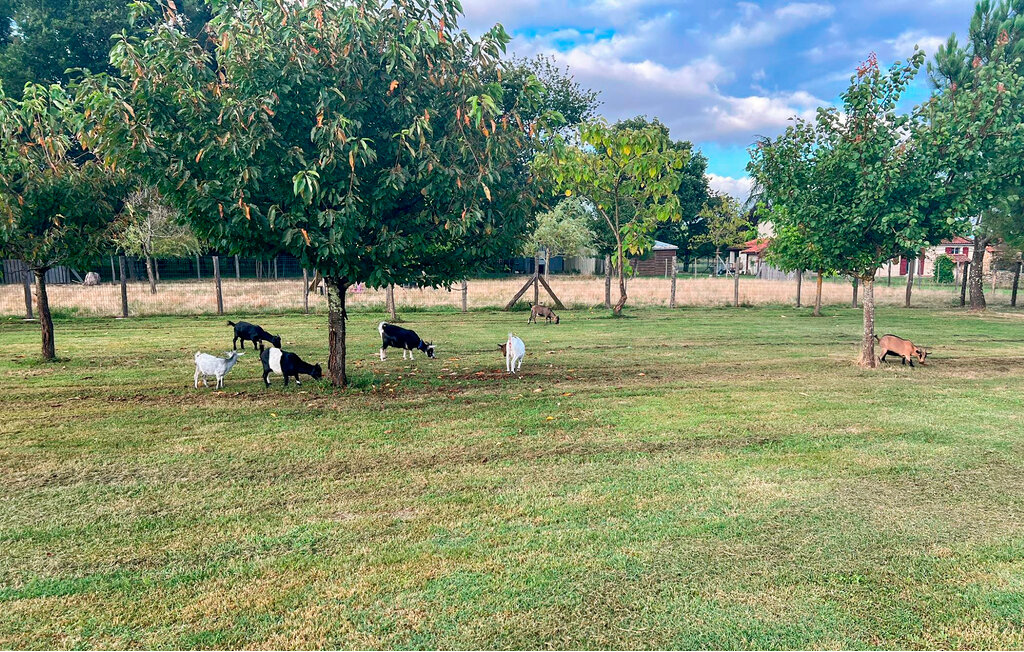 Location de vacances - Eyraud-Crempse-Maurens , France - FAD503 17