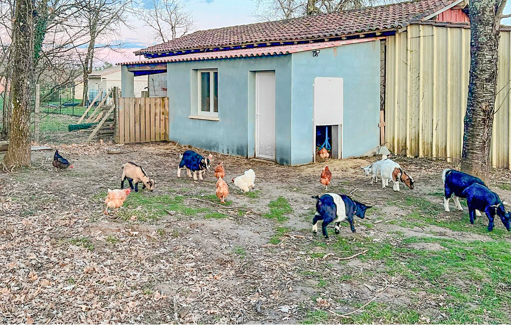 Location de vacances - Eyraud-Crempse-Maurens , France - FAD503 20