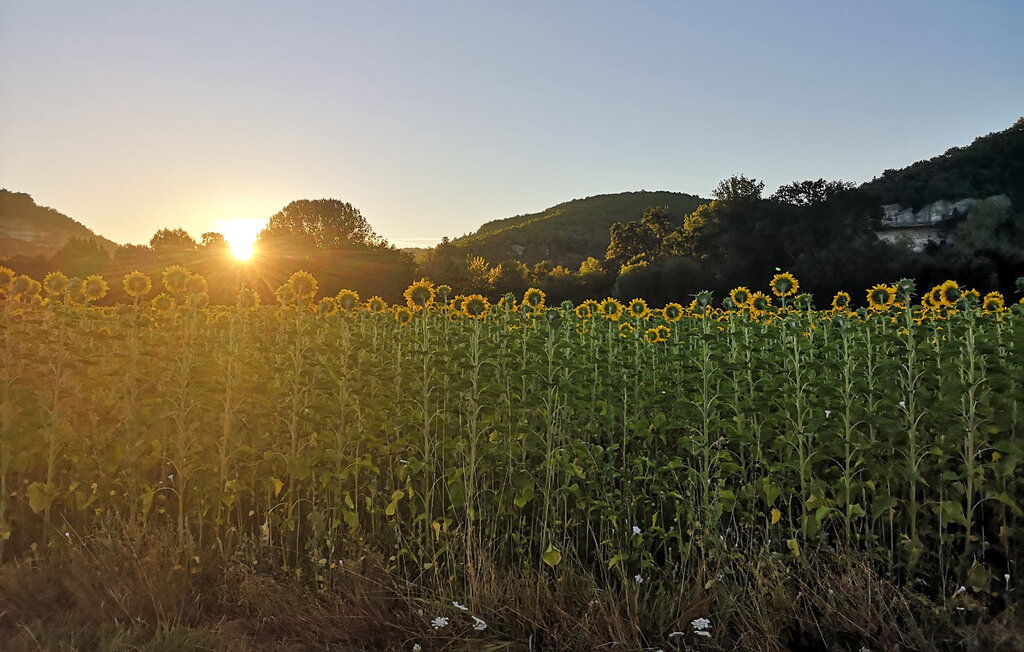 Location de vacances - Condat-sur-Vézère , France - FAD512 36