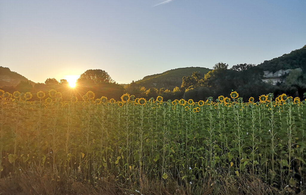 Domy wakacyjne - Le Bugue , Francja - FAD515 8