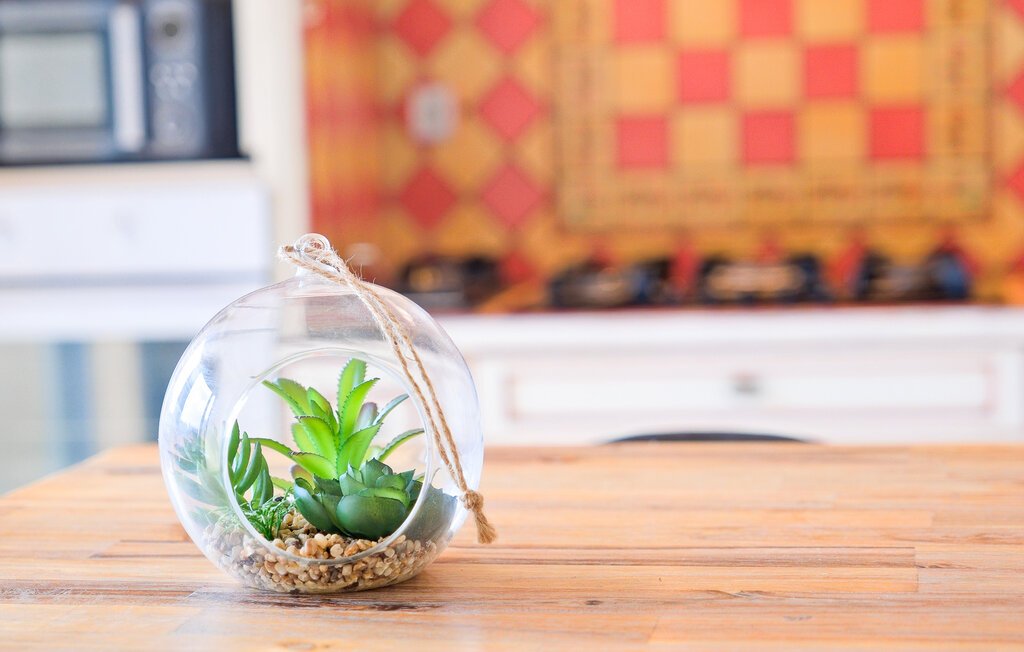 Ferienwohnung - Périgueux , Frankreich - FAD517 14