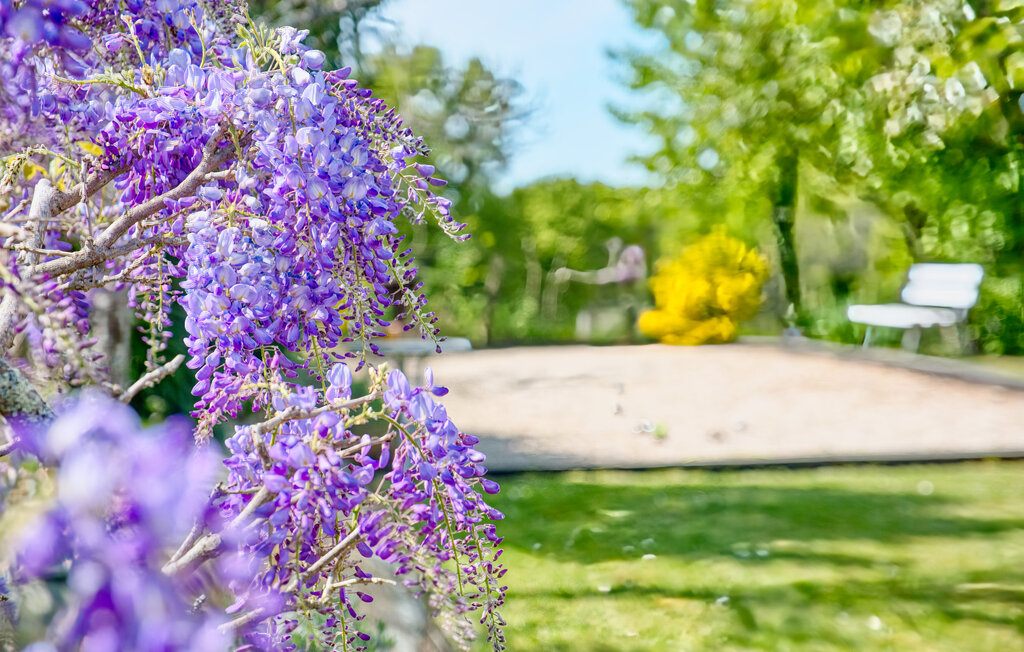 Location de vacances - Bergerac , France - FAD525 18