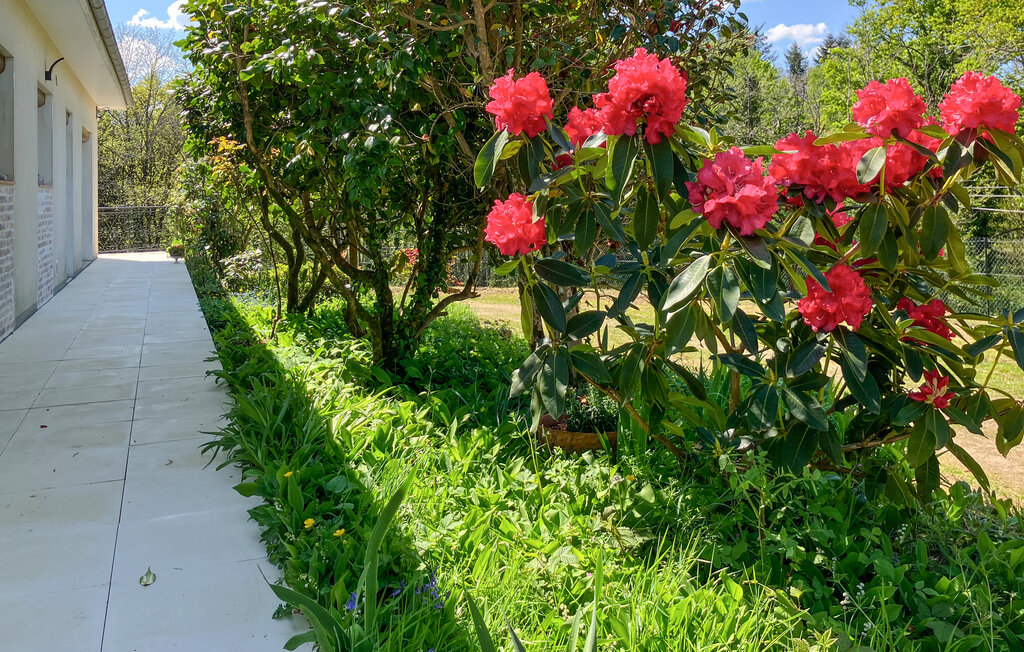 Location de vacances - Saint Saud Lacoussière , France - FAD484 11