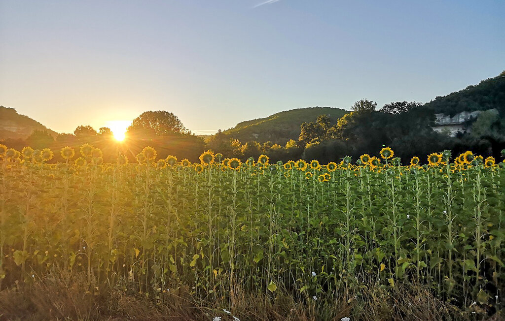 Location de vacances - Bourg-Du-Bost , France - FAD532 28