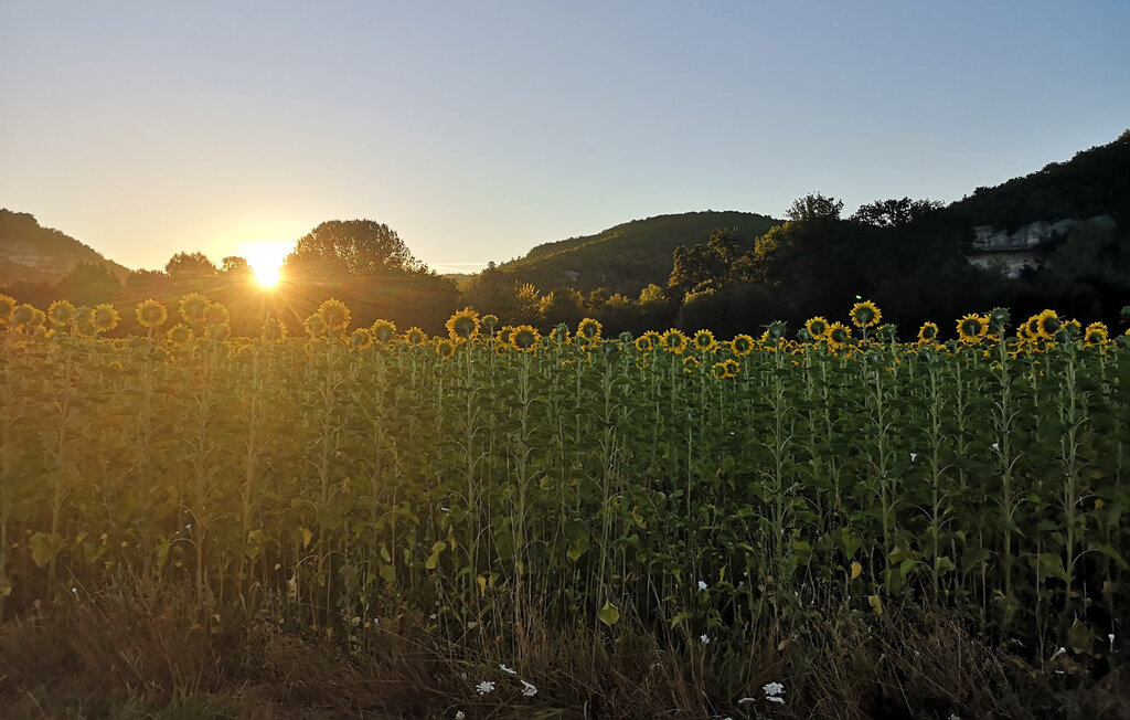 Location de vacances - Saint-Léon-sur-Vézère , France - FAD556 29