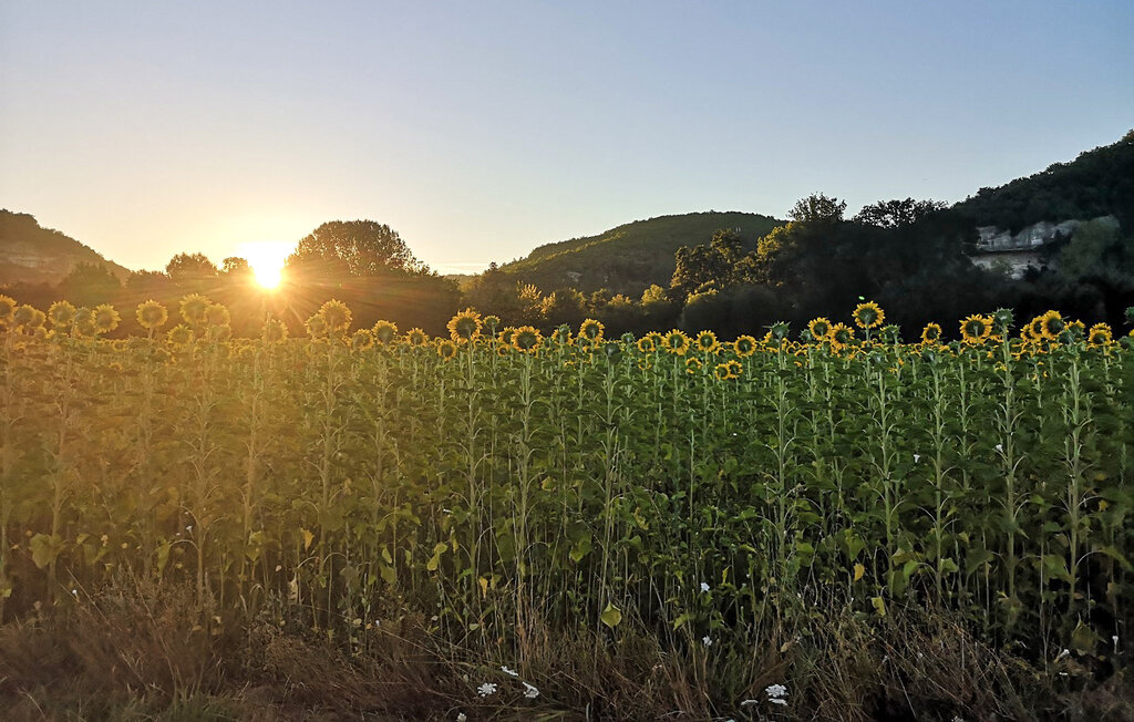 Location de vacances - Castelnaud-la-Chapelle , France - FAD562 25