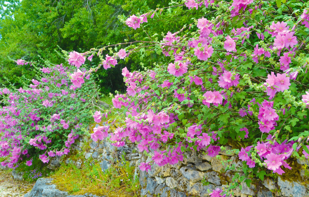 Holiday home Brantôme (FAD271)