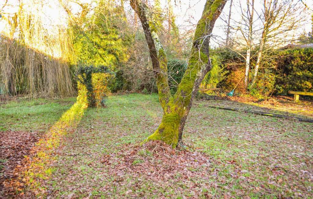 Feriehuse - Naujac-Sur-Mer , Frankrig - FAG171 10