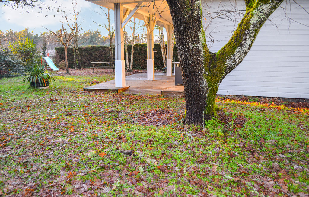 Feriehuse - Naujac-Sur-Mer , Frankrig - FAG171 9