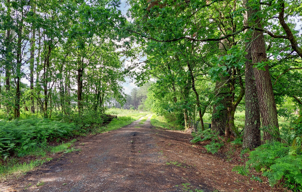 Location de vacances - Le Temple , France - FAG227 24