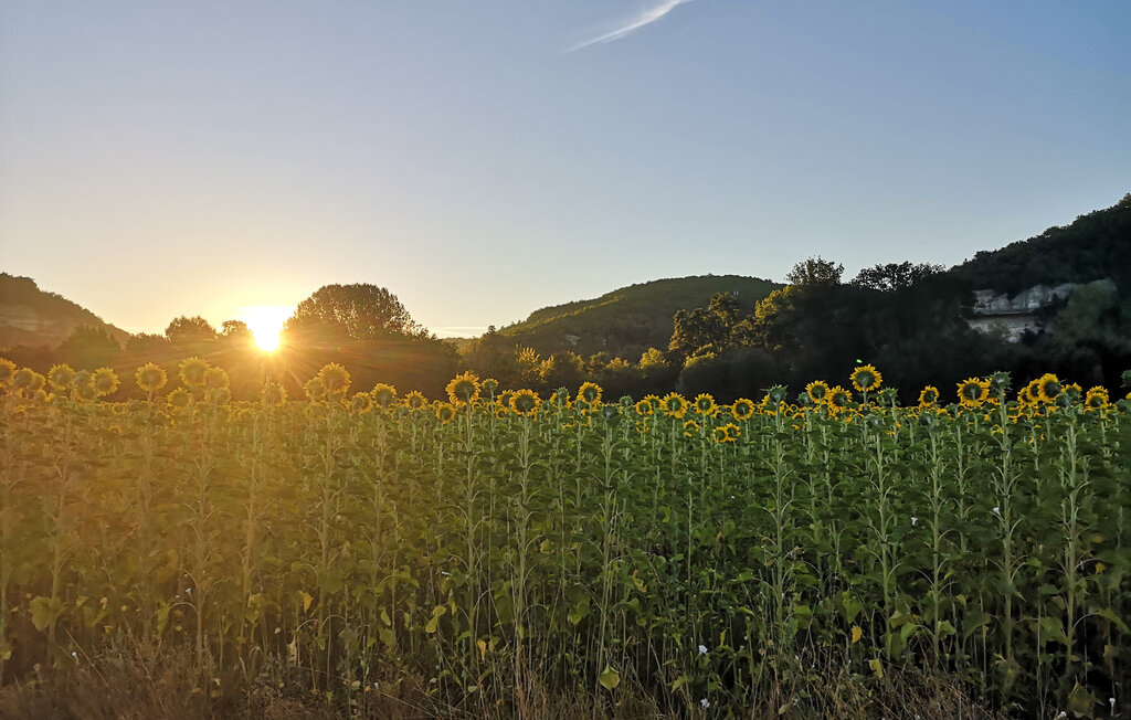 Location de vacances - Port Ste Foy et Ponchapt , France - FAG226 27