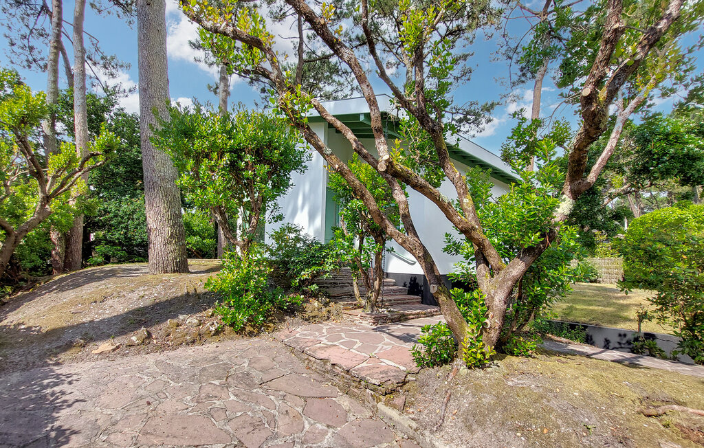 Location de vacances - Lege-Cap-ferret , France - FAG229 14