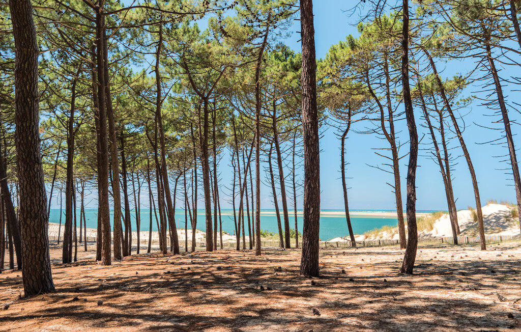 Feriehus - Arcachon , Frankrike - FAG195 26