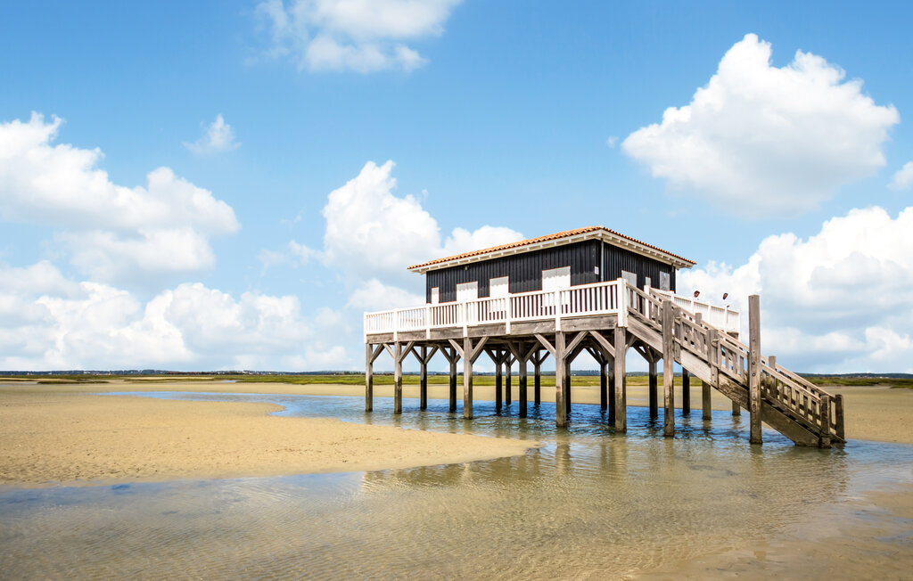 Location de vacances - Lege-Cap-ferret , France - FAG229 22