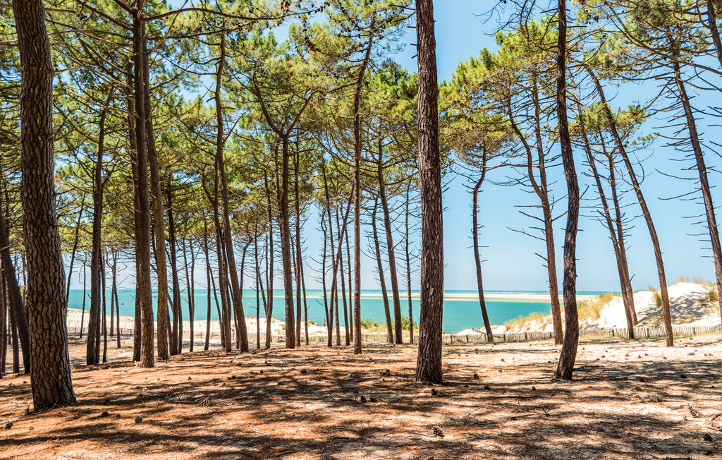 Location de vacances - Lege-Cap-ferret , France - FAG229 27