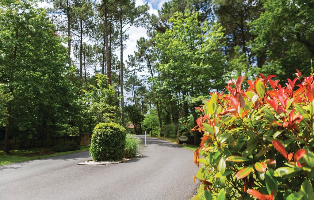 Semesterhus - Moliets-et-Maa , Frankrike - FAL141 13