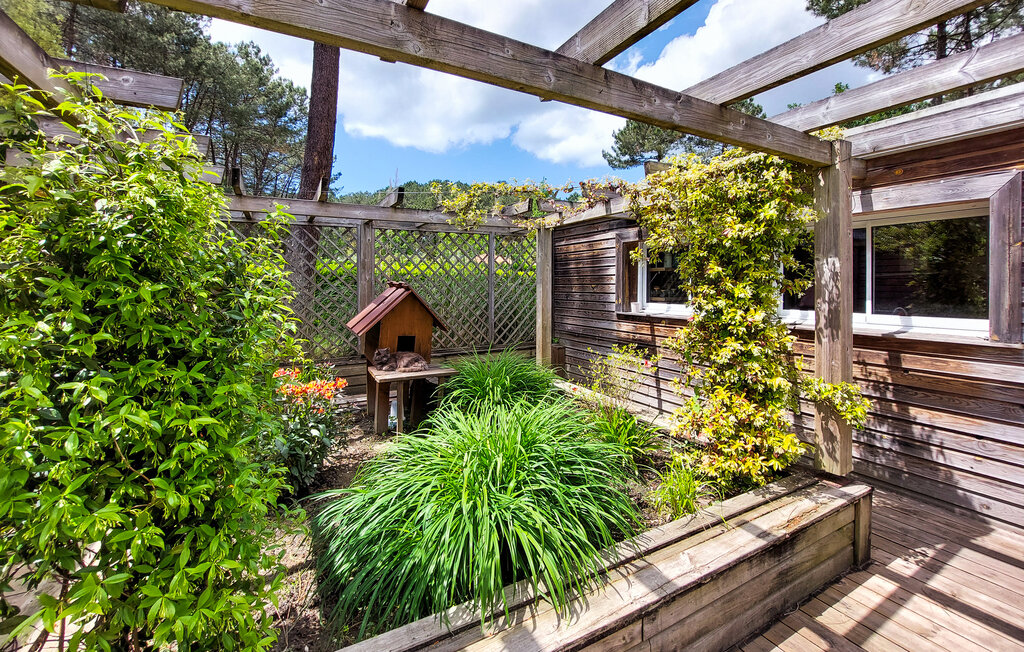 Kuća-za-odmor - Seignosse , Francuska - FAL134 11