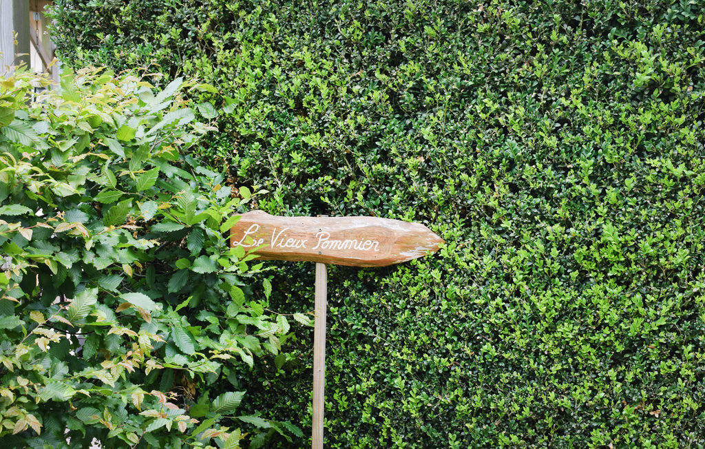 Feriehuse - Bourgougnague , Frankrig - FAT013 9