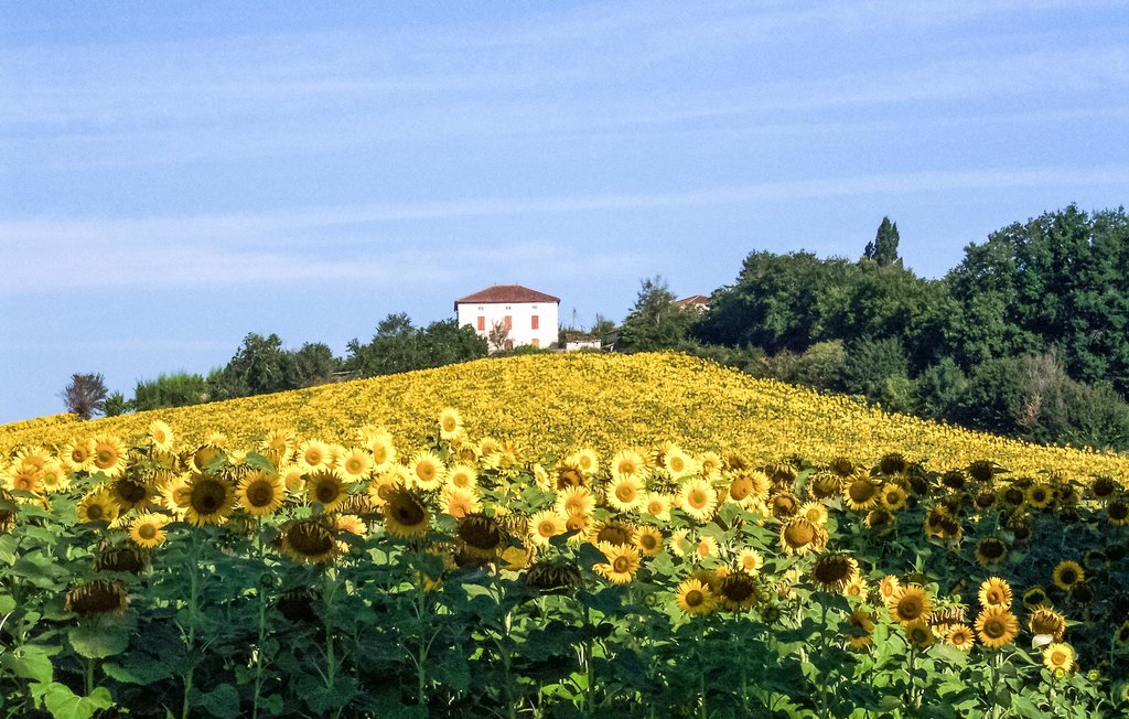 Feriehuse - Côte de Pechambert , Frankrig - FAT069 9
