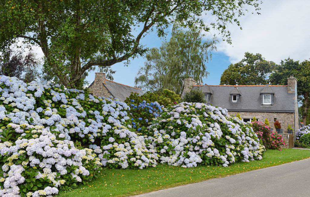 Feriehuse - Pléhédel , Frankrig - FBC244 11