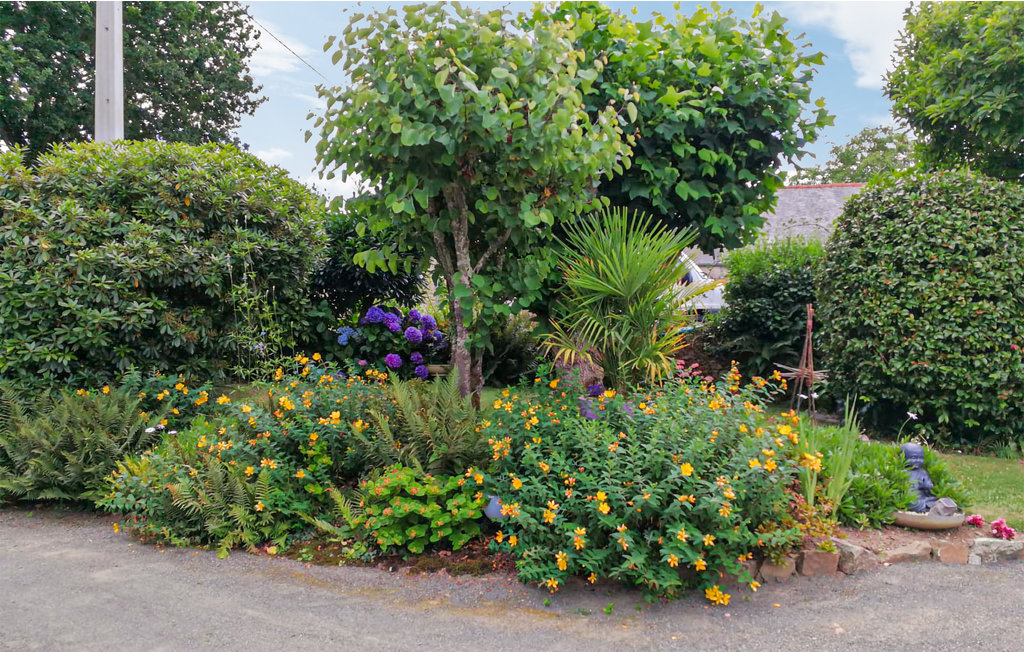 Ferienhaus - Le Faouët , Frankreich - FBC783 7