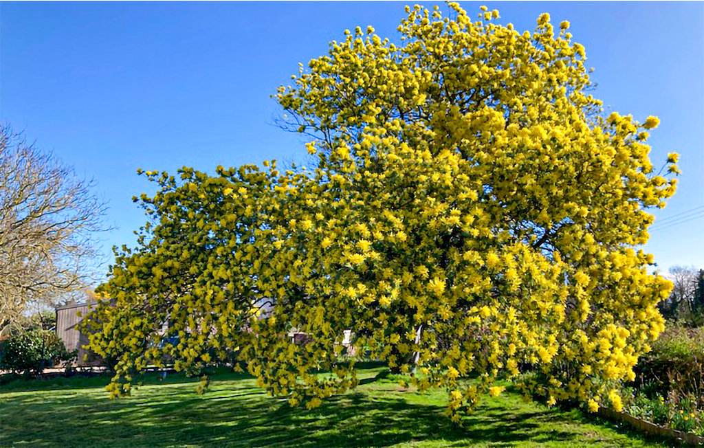 Feriehuse - Plouha , Frankrig - FBC651 16