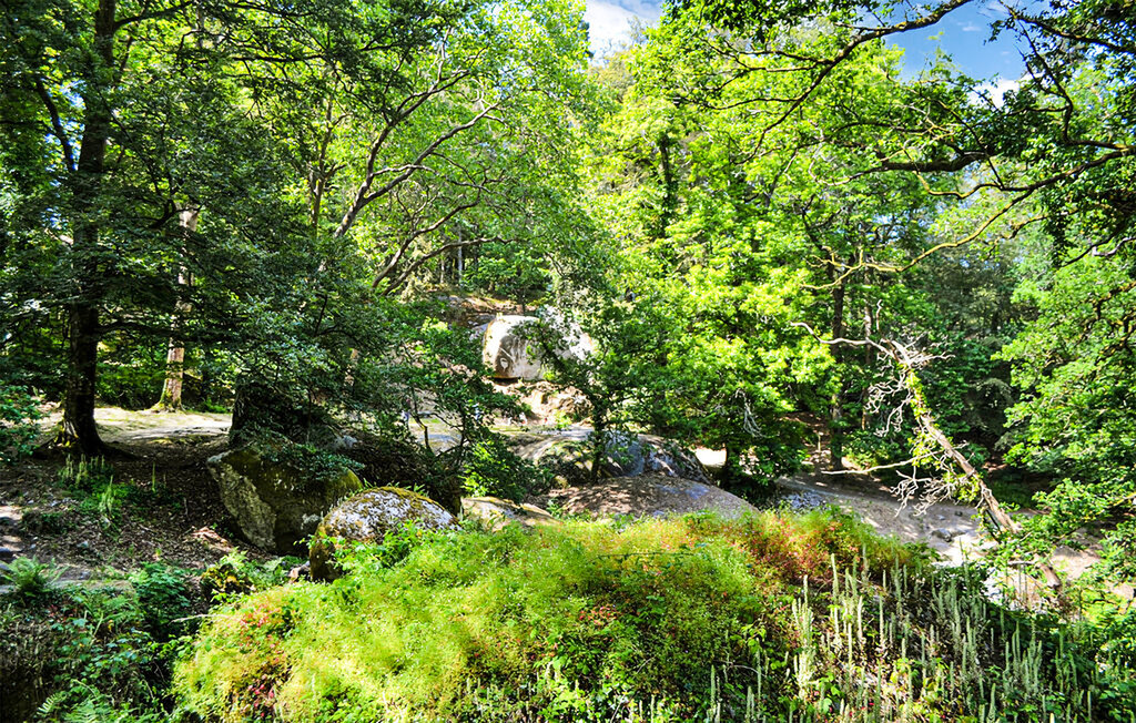 Location de vacances - Louargat , France - FBC846 21