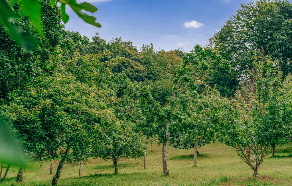 Ferienhaus - Concarneau , Frankreich - FBF663 11
