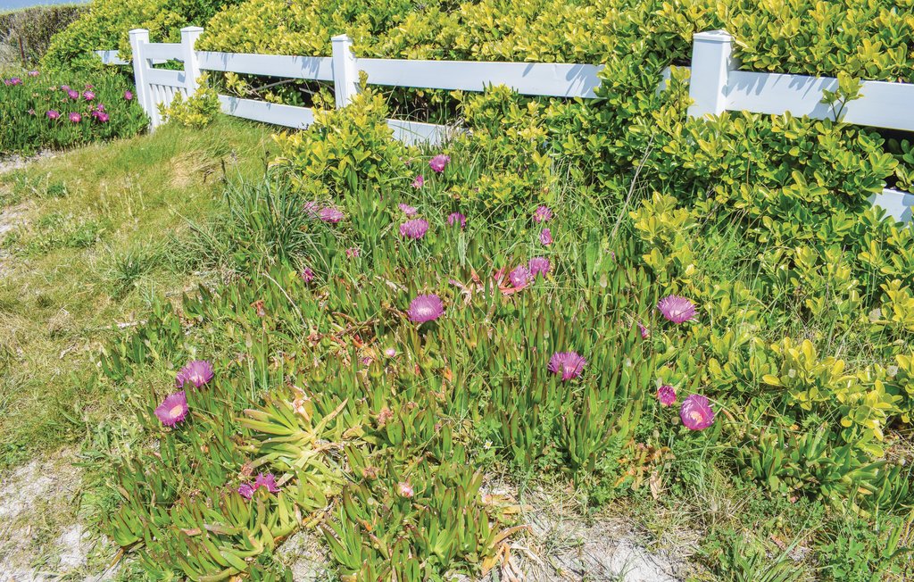 Semesterhus - Santec , Frankrike - FBF225 13