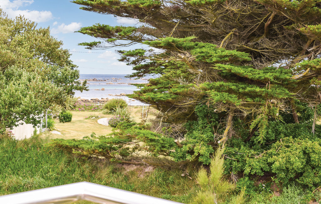 Holiday home - Kerlouan , France - FBF240 6