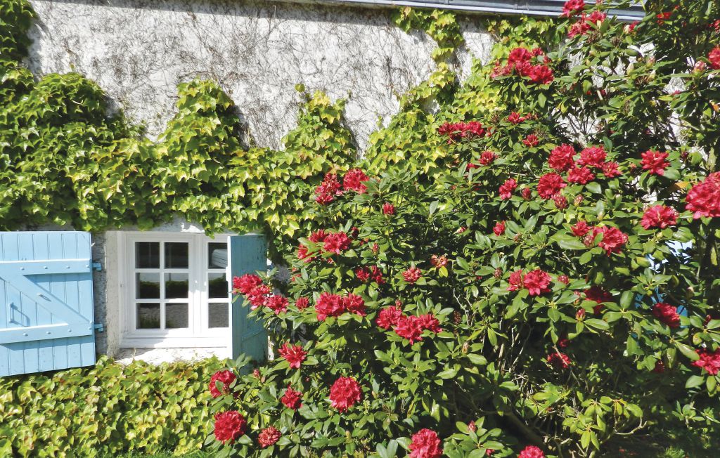 Feriehuse - Saint Pabu , Frankrig - FBF325 16