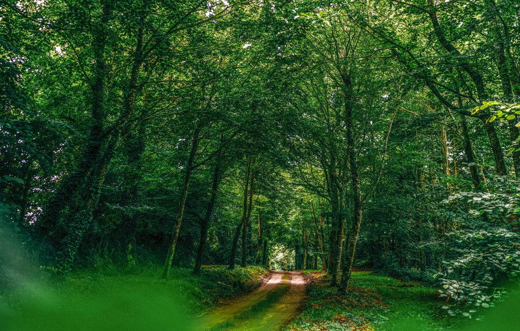 Ferienhaus - Concarneau , Frankreich - FBF663 10