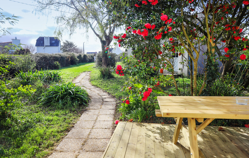 Location de vacances - Plougasnou , France - FBF771 1