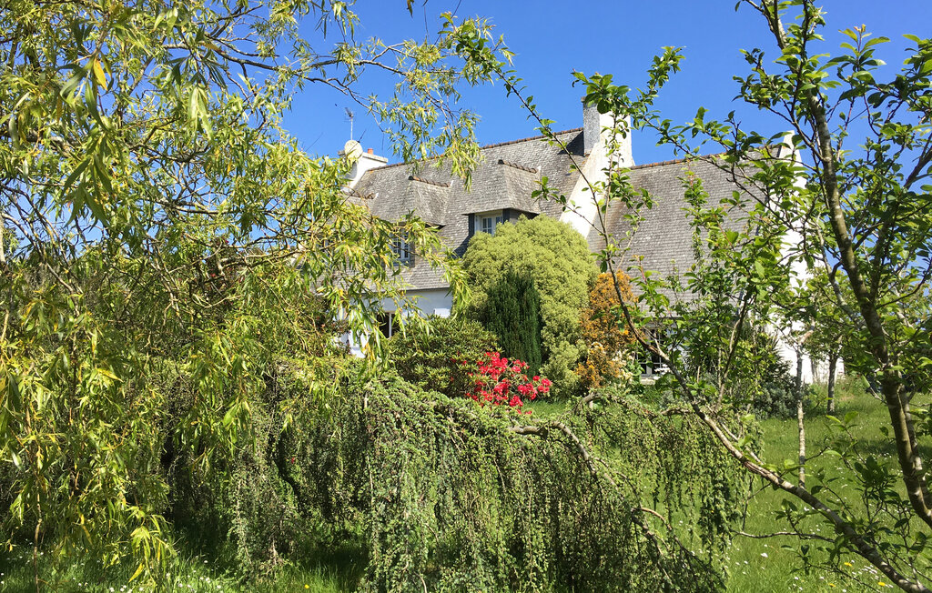 Ferienhaus - Plougasnou , Frankreich - FBF695 8