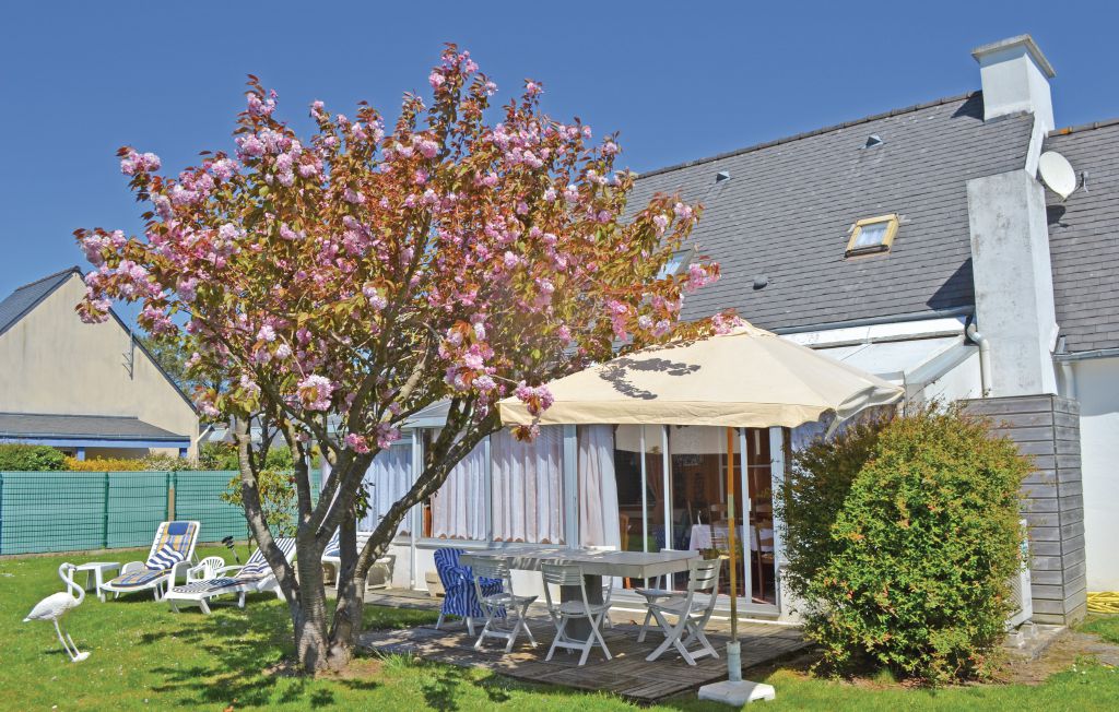 Bild 4 Bild 4
