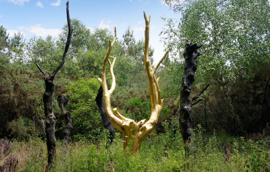 Ferienhaeuser - Montfort-sur-Meu , Frankreich - FBI136 8