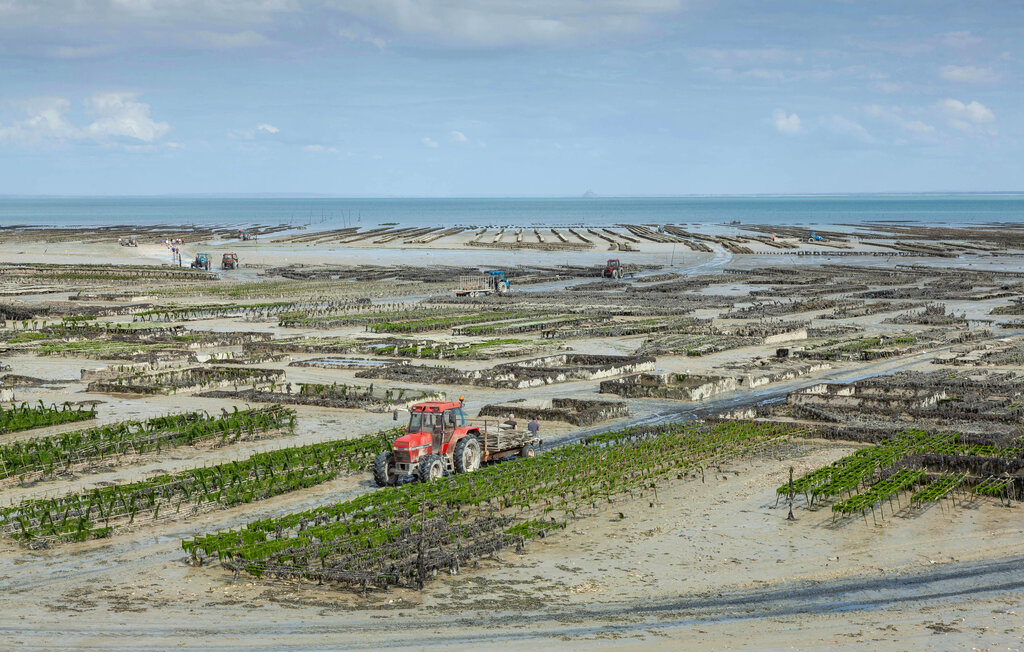 Ferienhaus - Cancale , Frankreich - FBI152 22