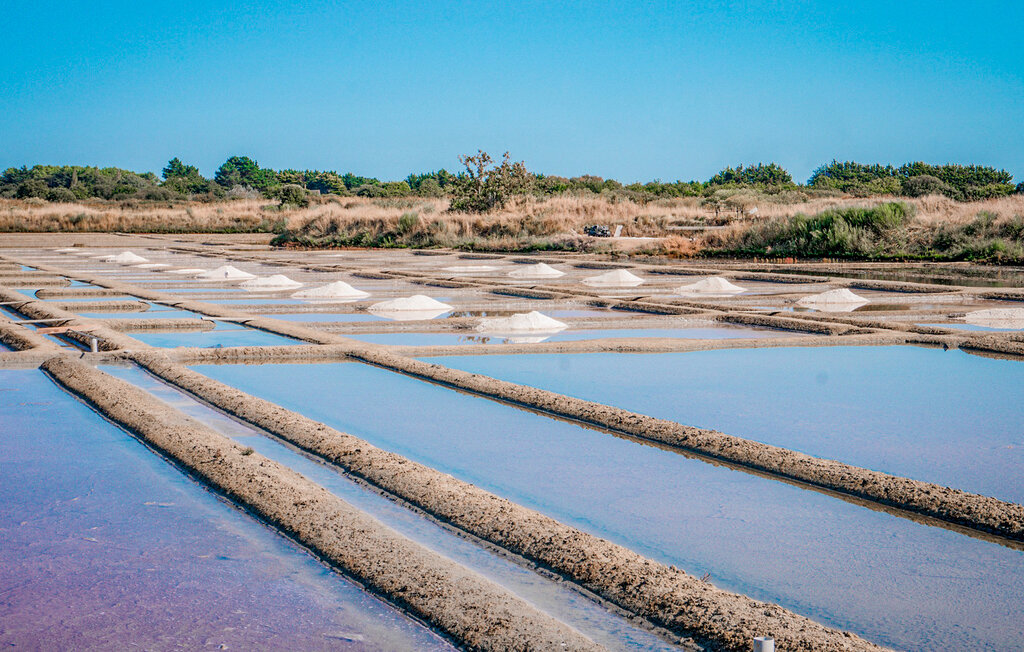 Kuća-za-odmor - Saint Aignan Grandlieu , Francuska - FBL080 30