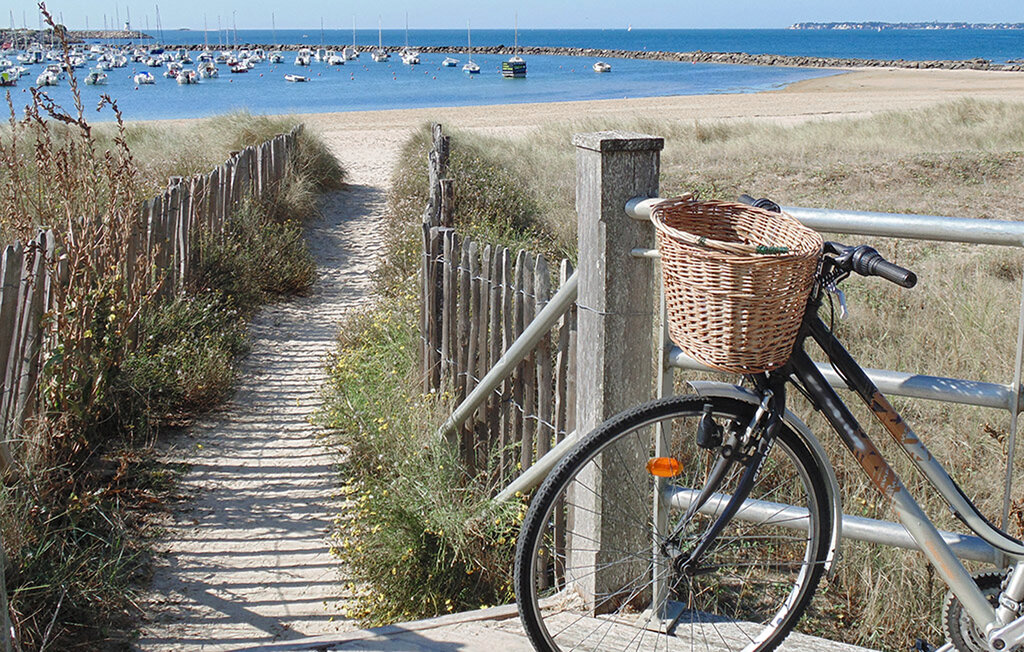 Kuća-za-odmor - Saint Aignan Grandlieu , Francuska - FBL080 31