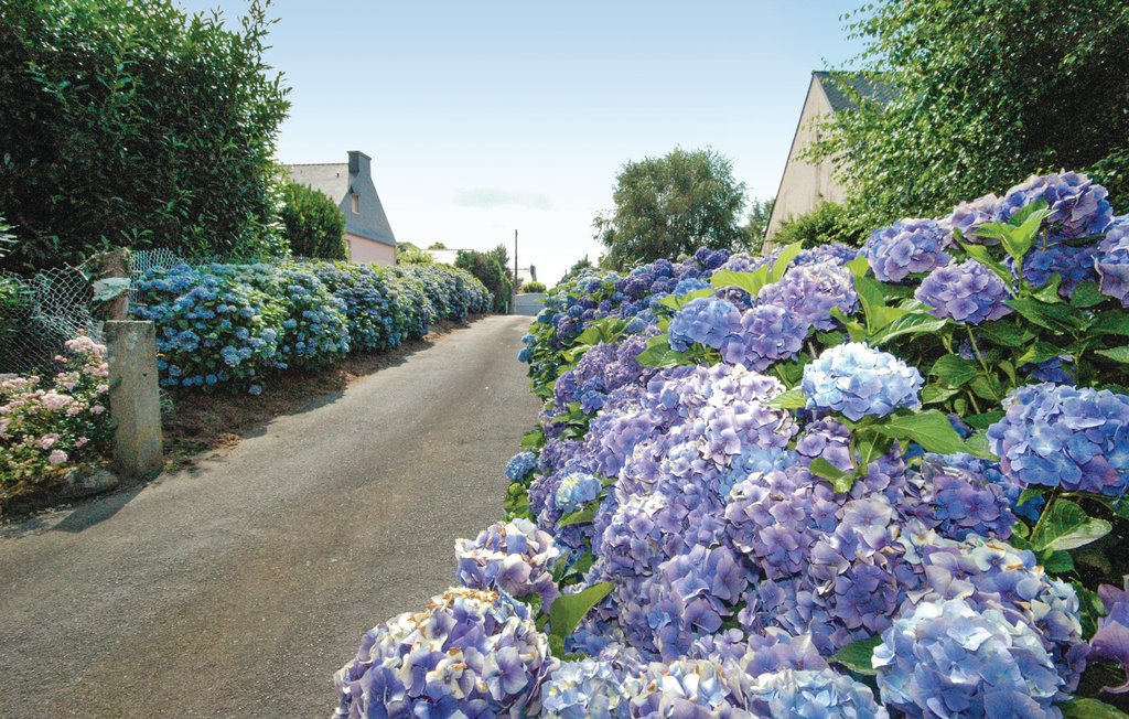 Ferienhaus - Plouay , Frankreich - FBM234 29