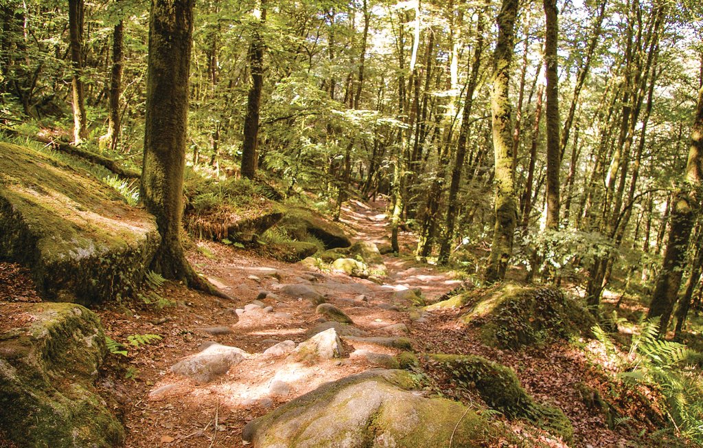 Ferienhaus - Plouay , Frankreich - FBM234 28