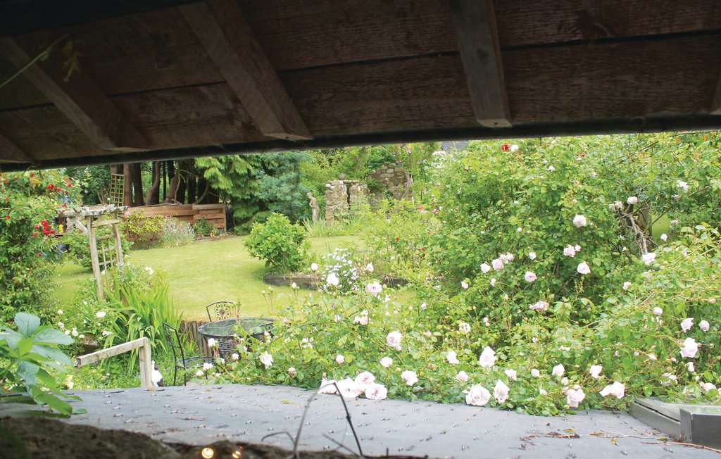 Holiday home - Melrand , France - FBM218 7