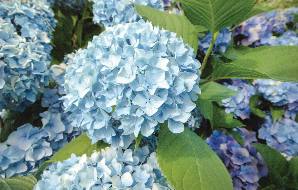 Ferienhaus - Plouay , Frankreich - FBM234 30