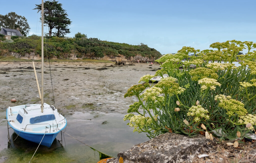 Ferienhaus - Plouhinec , Frankreich - FBM303 17