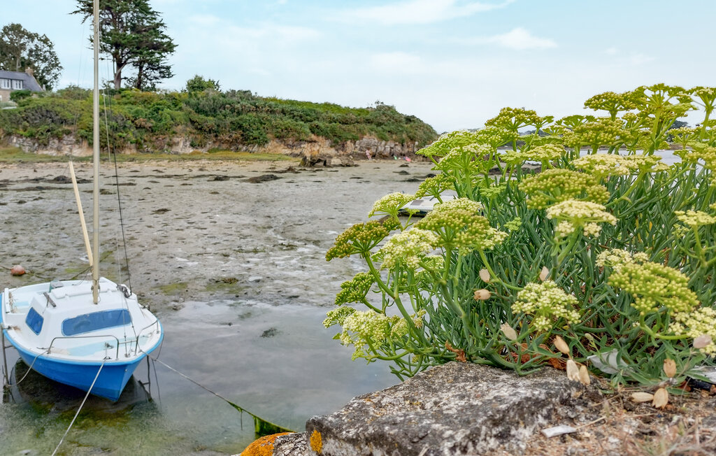 Ferienhaeuser - Plouhinec , Frankreich - FBM302 19