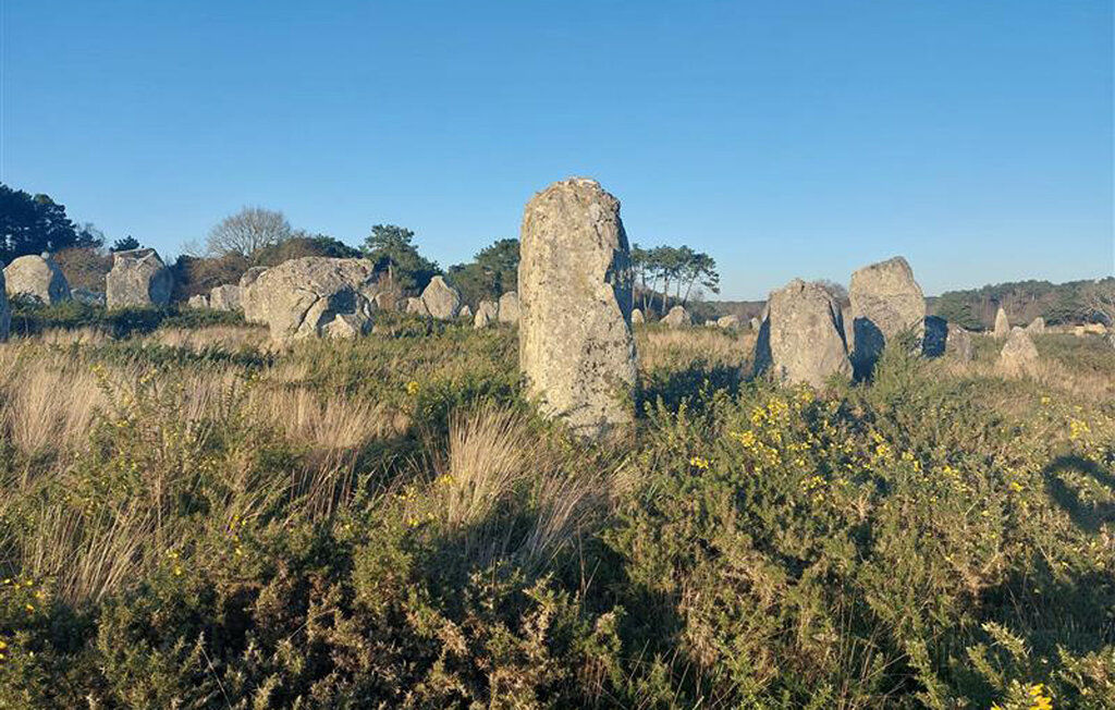 Domy wakacyjne - Carnac , Francja - FBM318 18
