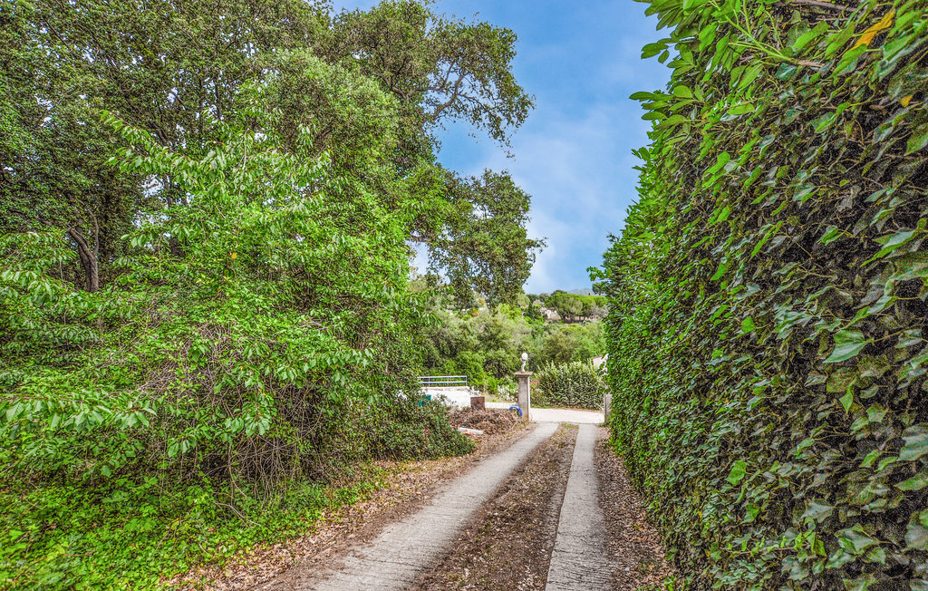 Lejlighed - Biot , Frankrig - FCA854 9