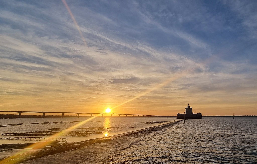 Feriehuse - Le Grand-Village-Plage , Frankrig - FCH238 29